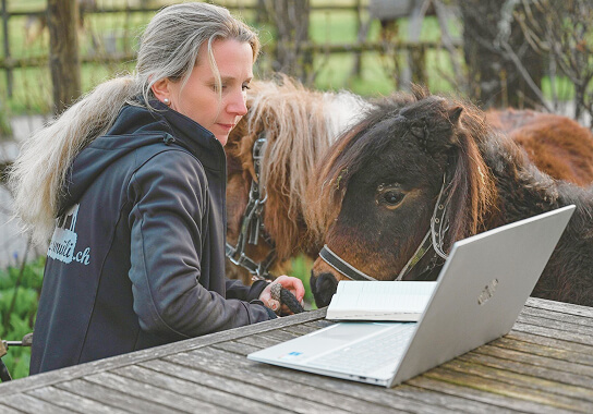 Jennifer Steinke den schönen Stallbildern