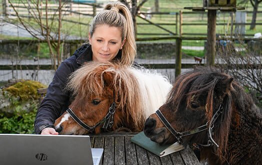 Jennifer Steinke Finanzstabilität Wirtschaftliche Stabilität