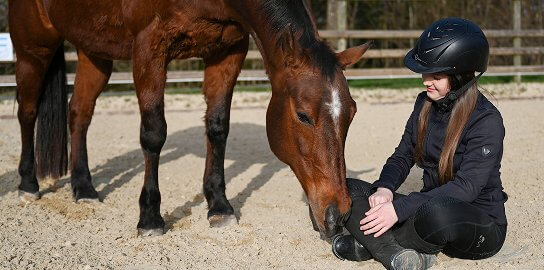 Jennifer Steinke übersichtliche Lektionen direkt umsetzbar